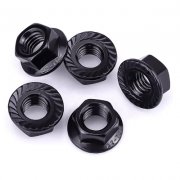 Flange Nuts