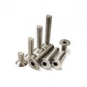 SS Allen CSK Screws