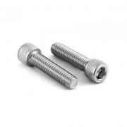 SS Allen Cap Screws