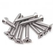 SS CSK Screws