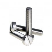 SS Cheese Head Screws