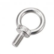 SS EYE BOLTS