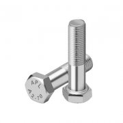 SS Bolts