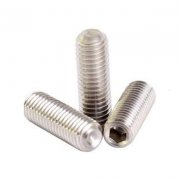 SS Grub Screws