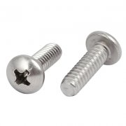 SS Pan Philips Head Screws