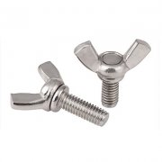 SS Wing Bolts